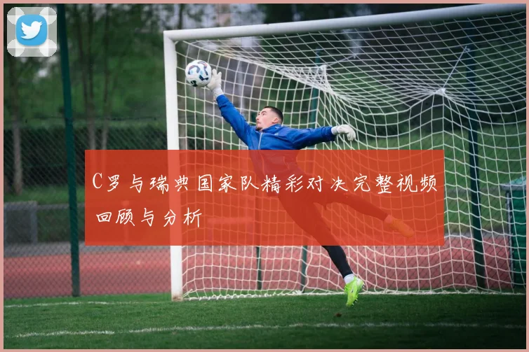 C罗与瑞典国家队精彩对决完整视频回顾与分析